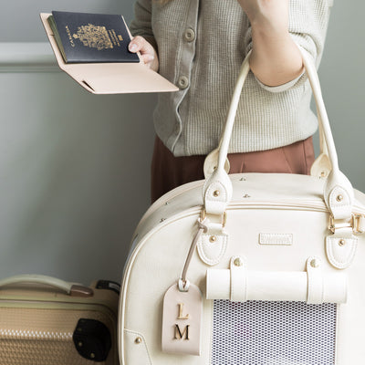 Lark and Ives / Vegan Leather Accessories / Passport Case / Passport Holder / Folding Passport Case / Travel Case / Travel Pouch / Travel Accessories / Luggage Tag / Luggage ID / Travel Tag / Minimalist Accessories / Neutral Colours 